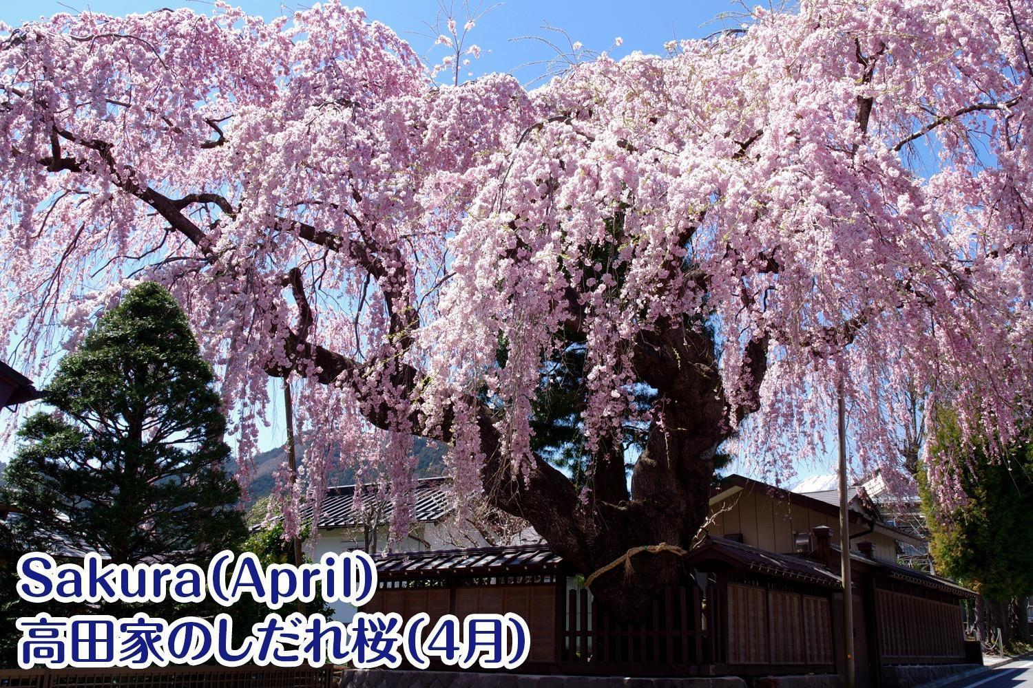 Nikko Stay House Arai - Vacation Stay 14994V Zewnętrze zdjęcie